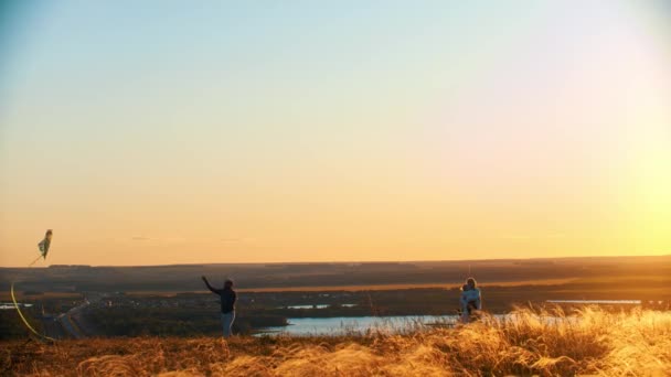 Jonge familie spelen met vlieger op het tarweveld bij zonsondergang - vader die het touw van vlieger — Stockvideo