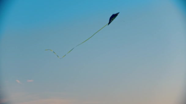 Een vlieger op de achtergrond van de lucht terwijl de vroege zonsondergang — Stockvideo