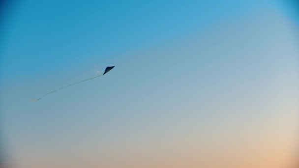 在麦田上空的黄昏时分，在天空的背景上放风筝 — 图库视频影像