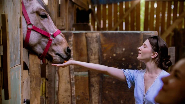 Duas jovens mulheres alimentam cavalos de cenoura em paddock — Fotografia de Stock