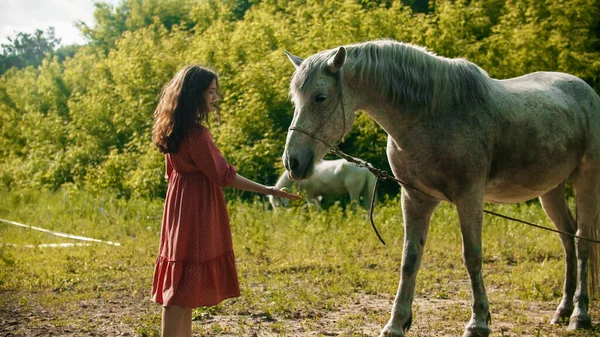 Jovem mulher de vestido rosa em pé ao ar livre perto do cavalo e alimentá-la — Fotografia de Stock