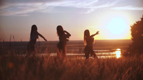 Три молодые женщины танцуют аэробные танцы на закатном поле — стоковое видео