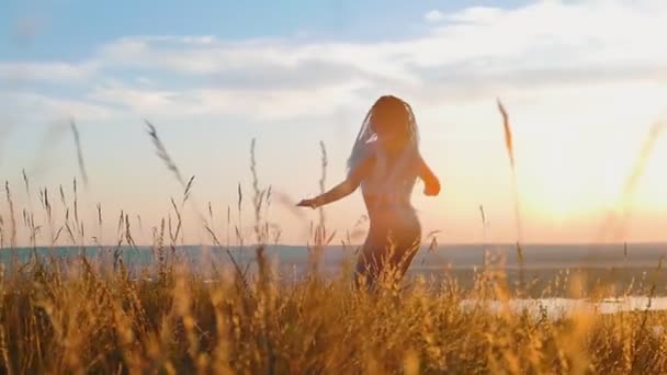 Mujer con largas trenzas azules bailando en el campo de trigo al atardecer — Vídeos de Stock