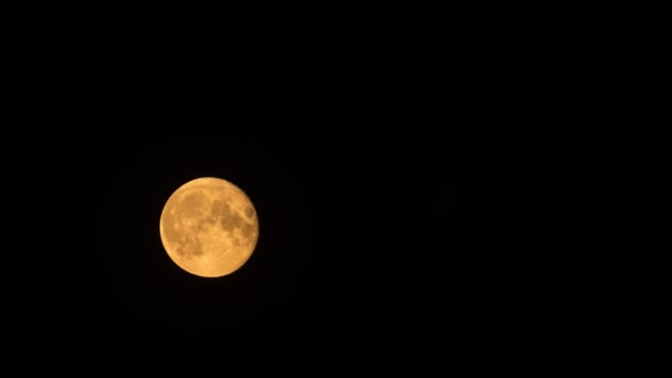 Jasnożółty księżyc wschodzący na ciemnym nocnym niebie — Wideo stockowe