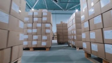Karton kutularla dolu modern bir depo.
