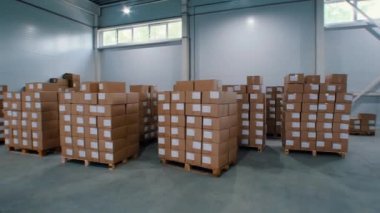 Karton kutularla dolu modern temiz depo