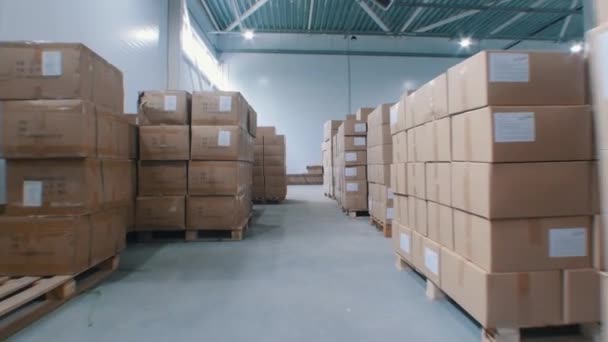 段ボール箱が置かれたモダンな倉庫が立ち並んでいます。 — ストック動画