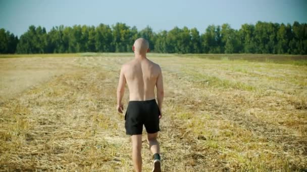 Uomo calvo senza maglietta che cammina su un campo giallo — Video Stock