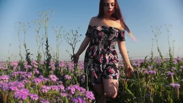 Młoda kobieta w sukience spaceruje po polu kwiatów — Wideo stockowe