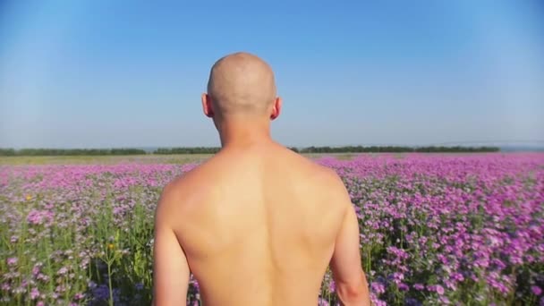 Bald shirtless man walking on the purple flower field — Stock Video