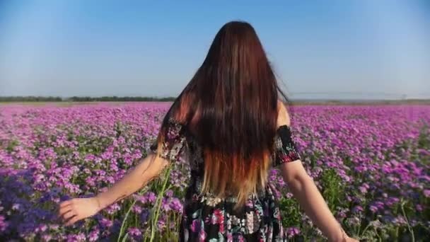 Ung romantisk kvinna med långt hår bär klänning promenader på lila blomma fält — Stockvideo