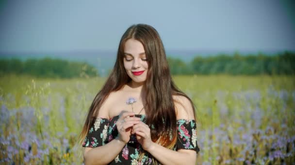 Mujer joven sonriente romántica con labios rojos de pie en el campo de lavanda y sosteniendo una flor — Vídeo de stock