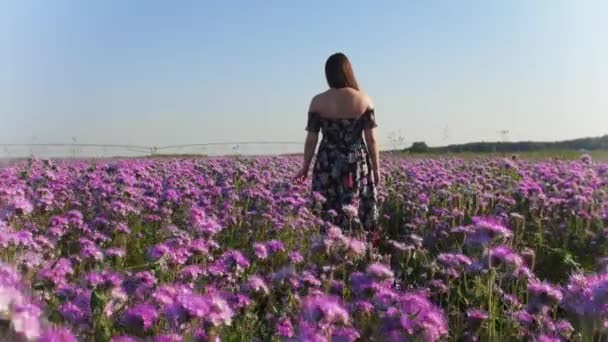 Wanita muda romantis yang berdiri di ladang bunga ungu berbalik dan melihat ke kamera — Stok Video