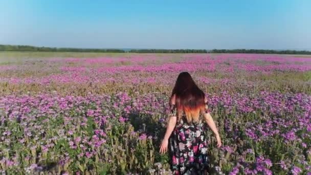 Libera giovane donna in abito camminare sul campo di fiori viola — Video Stock