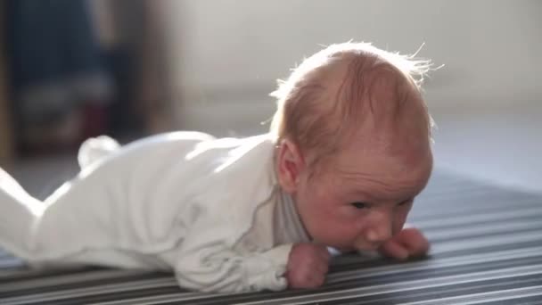 A little newborn baby lying on the floor and tries to lift up his head — Stock Video