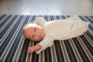 Parlak dairede sırtüstü uzanmış kameraya bakan yeni doğmuş bir bebek.