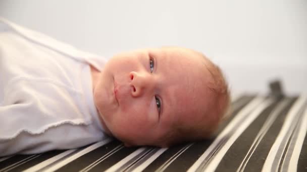 Face of little newborn baby — Stock Video