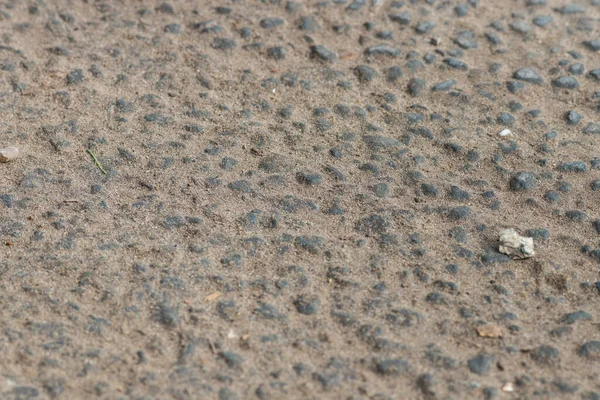 작은 바위가 있는 밝은 회색 아스팔트 질감 — 스톡 사진
