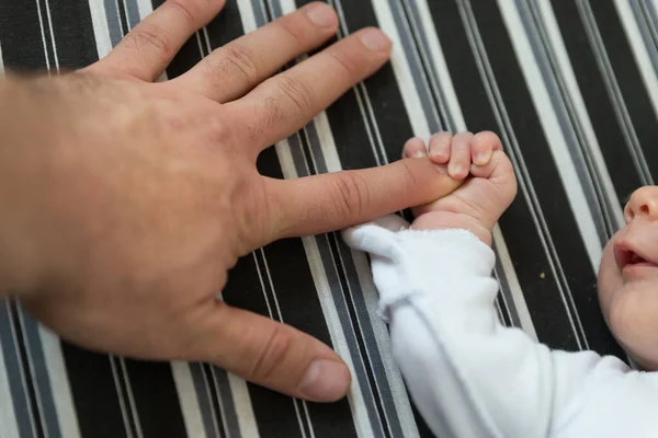 Ett litet nyfött barn som håller i sin fars finger — Stockfoto