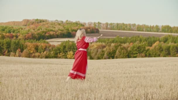 Jonge mooie vrouw in lange rode traditionele jurk staan op het veld en spelen met een zwaard — Stockvideo
