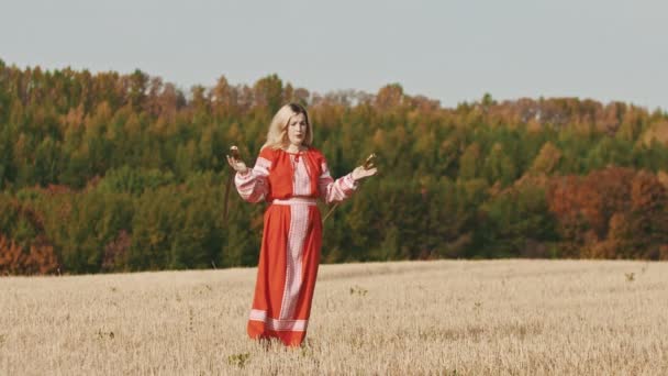 Feisty Frau im roten Kleid beim Training auf dem Feld - hält zwei gebogene Schwerter und dreht sie — Stockvideo