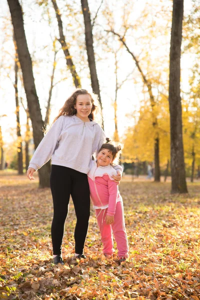 Dos hermosas hermanas de pie en el parque de otoño — Foto de Stock