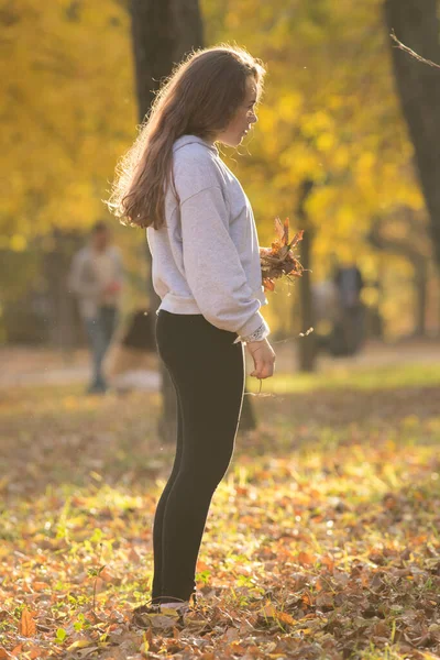 Mladá žena v bílé mikině drží žluté listy v podzimním parku — Stock fotografie