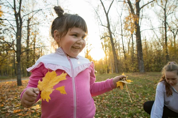 Dos hermanas pasan tiempo en el parque de otoño y recogen hojas amarillas — Foto de Stock