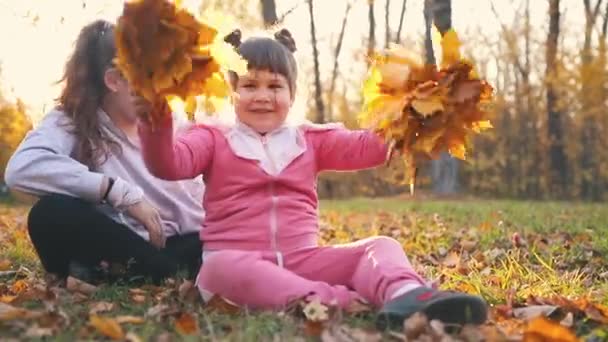 Two sisters spending time in autumn park and collecting orange leaves - sitting on the ground and showing them — Stock Video