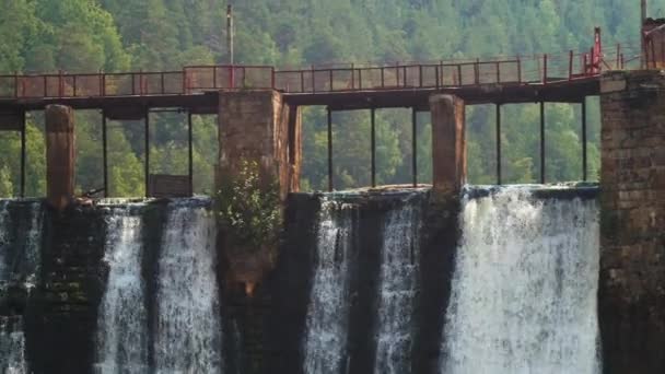 La diga d'acqua nella foresta - l'acqua cade dal muro di mattoni — Video Stock