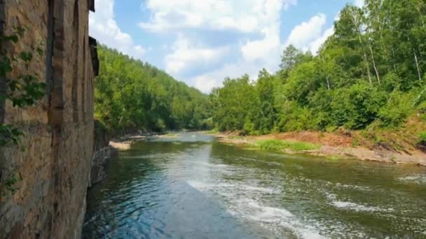 En flod i den gröna skogen - vattendrag framåt — Stockvideo