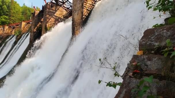 Водна гребля в лісі важкий річковий водяний потік падає - красива природа — стокове відео