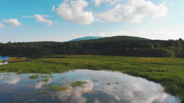 Paisaje de la naturaleza - lago con plantas acuáticas y colinas a lo lejos - cielo azul nublado reflejándose en la superficie del agua — Vídeos de Stock