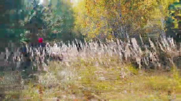 Человек ездит на квадроцикле в лесу — стоковое видео