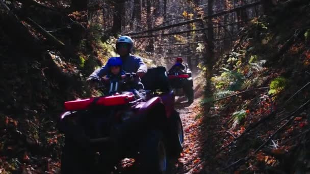 Familia paseos en quad bicicletas en el bosque de otoño en el camino — Vídeo de stock