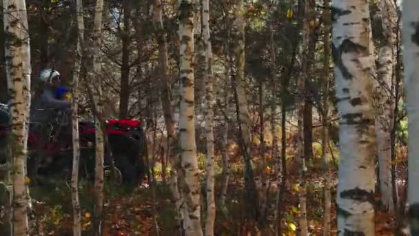 Familia paseos en quad bicicletas fuera del bosque de otoño — Vídeo de stock
