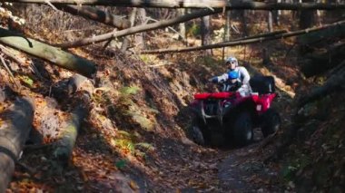 İnsanlar patikanın üstündeki ağaçlarla ormanda ATV 'lere biniyor.
