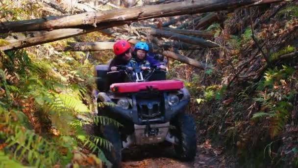 Mensen rijden ATV 's in het bos op het pad met bomen boven het pad - herfst tijd — Stockvideo