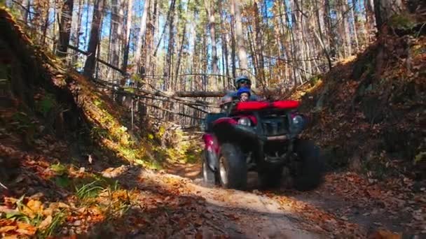 Vader met zijn kind rijdt ATV in het bos op het smalle pad met bomen boven het pad - herfst tijd — Stockvideo