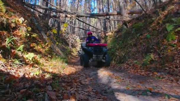 La gente monta vehículos todo terreno en el bosque en el camino con árboles por encima del camino - tiempo de otoño — Vídeos de Stock