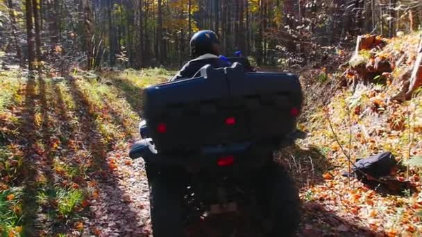 İnsanlar sonbahar zamanı ormanda ATV 'lerde oturuyorlar. — Stok video