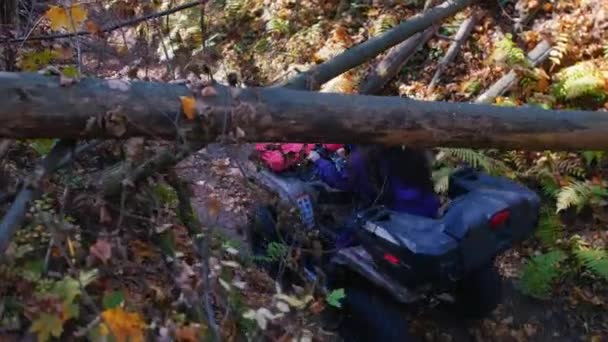 Personas montando vehículos todo terreno en el bosque en el camino - otoño — Vídeo de stock