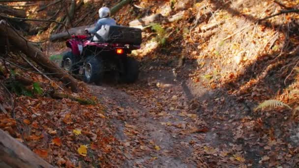 Mensen rijden ATV 's in het bos op het pad - herfst seizoen — Stockvideo