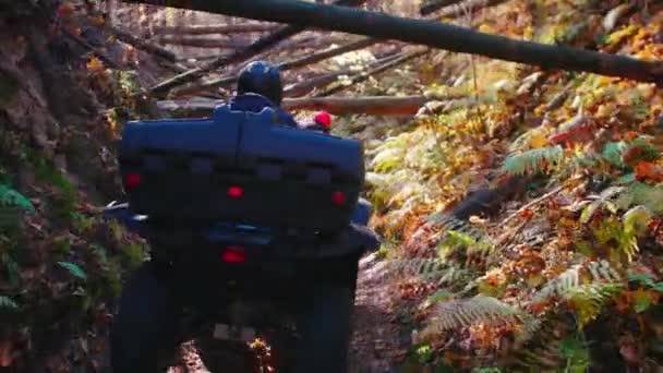 Люди катаються на квадроциклах в лісі на шляху - осінній сезон — стокове відео