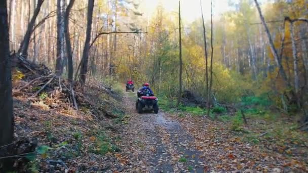 Mensen rijden ATV 's in het bos op de baan - herfst seizoen — Stockvideo