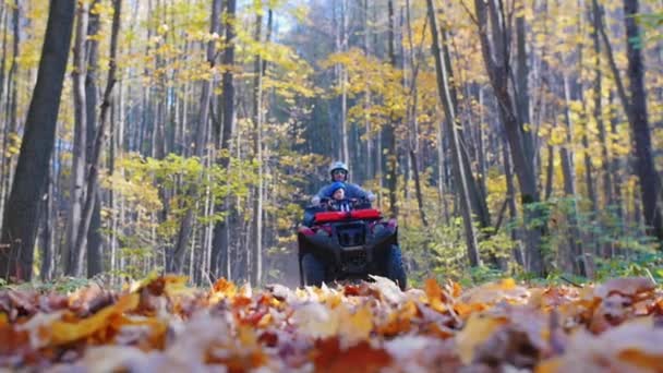 Buitenactiviteiten - mensen rijden in het bos op de sinaasappelbladeren ATV 's - herfstseizoen — Stockvideo