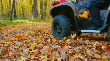 Açık hava aktivitesi. Çocuğuyla birlikte ormanda turuncu yapraklarla ATV kullanan bir adam.
