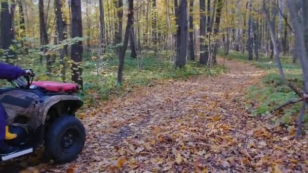 Buitenactiviteiten - familie rijden ATV 's in het bos - herfstseizoen — Stockvideo