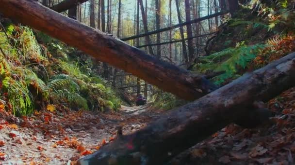 Actividad al aire libre - hombre con su hijo montando vehículos todo terreno en el bosque en el camino - temporada de otoño — Vídeo de stock