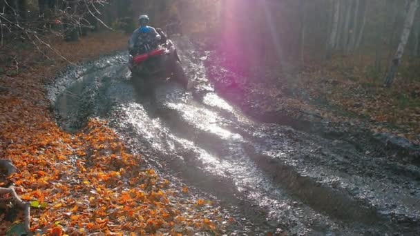 Actividad al aire libre: personas montando vehículos todo terreno en una pista fangosa en el bosque de otoño — Vídeo de stock